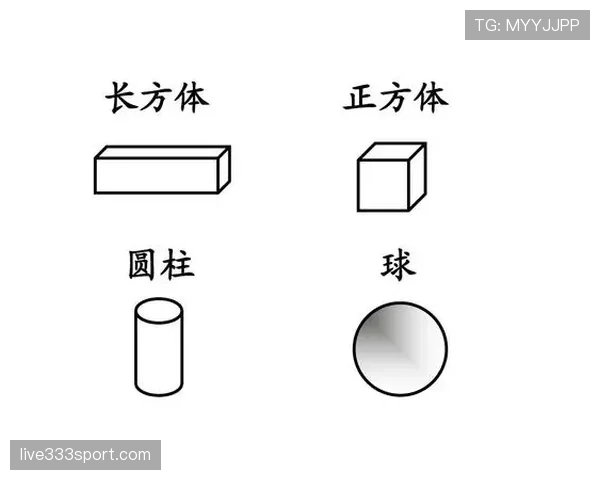 篮球规则中的圆柱体原则解析:界定合法防守空间 篮球规则中的圆柱体原则解析:界定合法防守空间